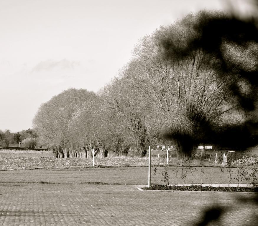 B&B Louis1924 Dilbeek Luaran gambar